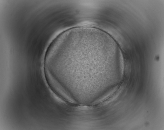 X0000102481478200808221655