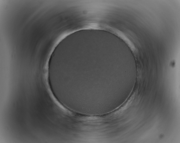 X0000102481479200808221655