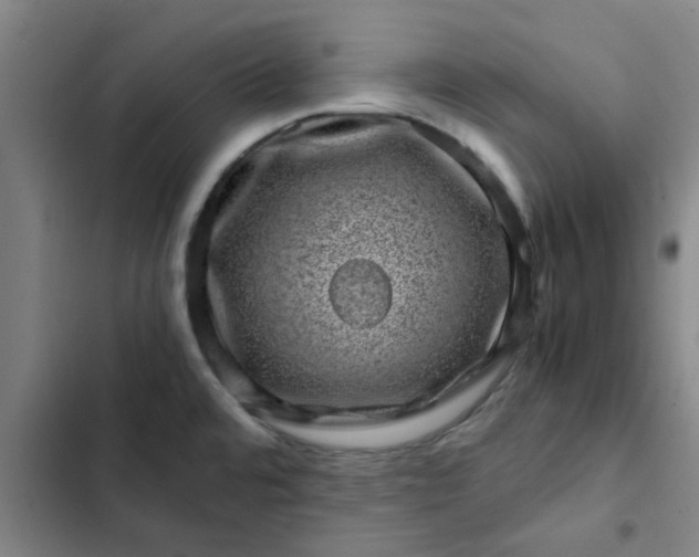 X0000102481480200808221655