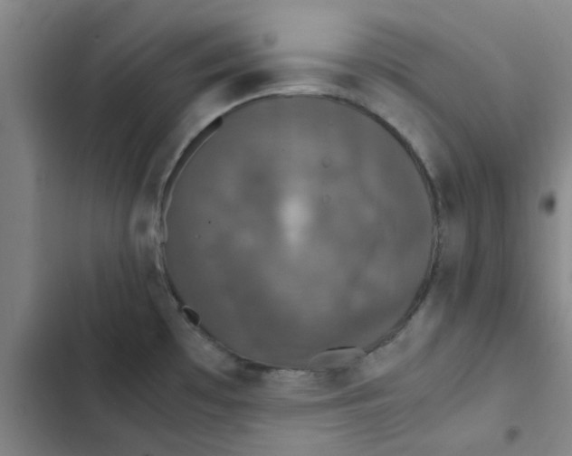 X0000102481481200808221655