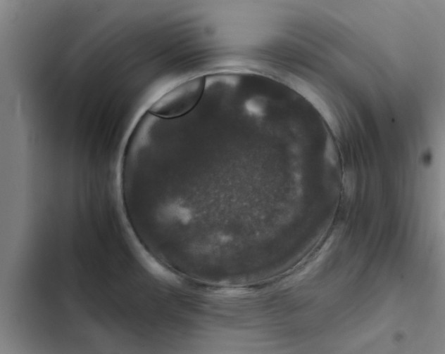 X0000102481482200808221655