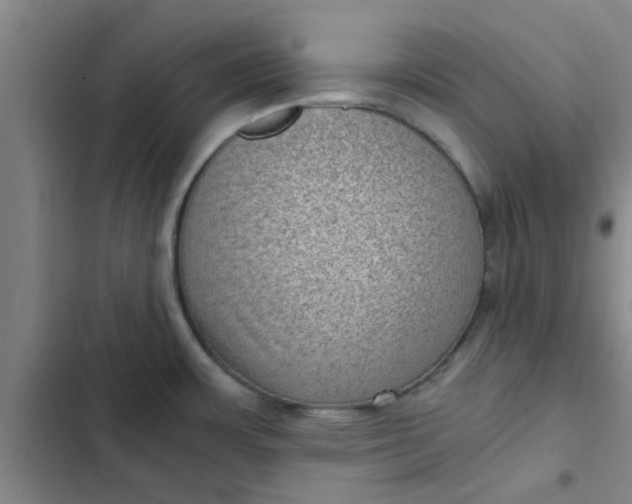 X0000102481483200808221655