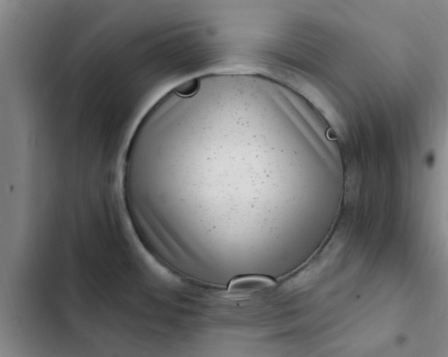 X0000102481484200808221655