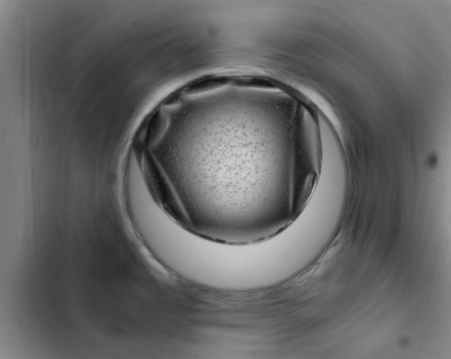 X0000102481485200808221655