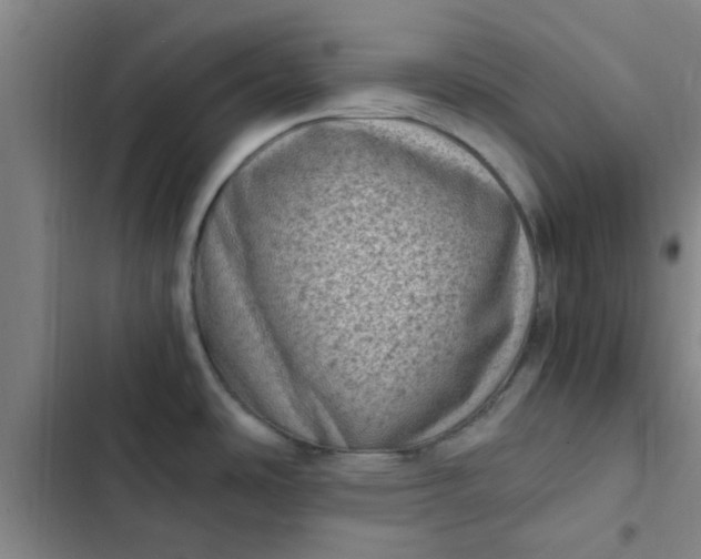 X0000102481486200808221655