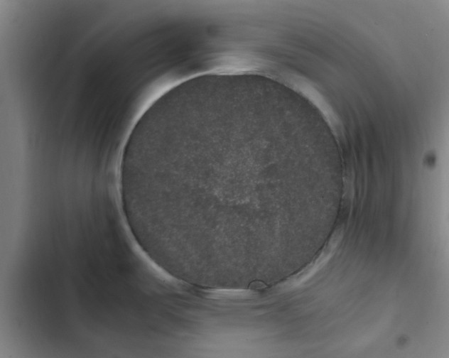 X0000102481487200808221655