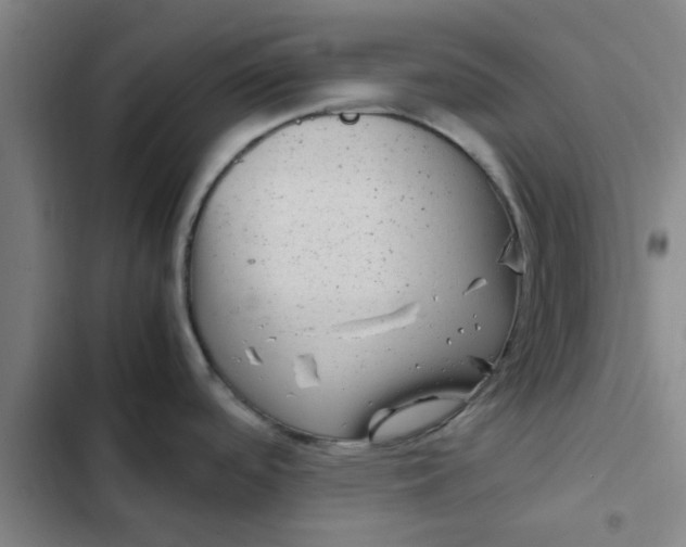 X0000102481488200808221655