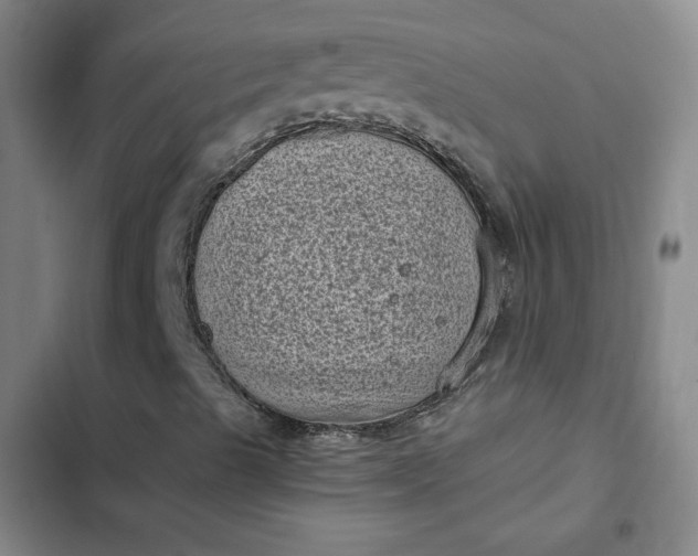 X0000102481489200808221654