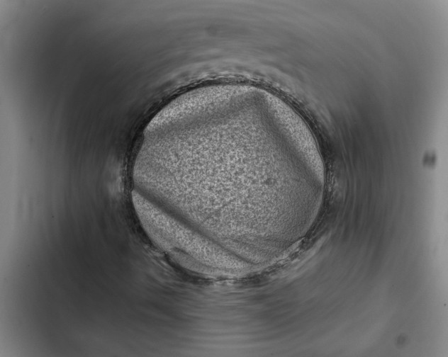 X0000102481490200808221654