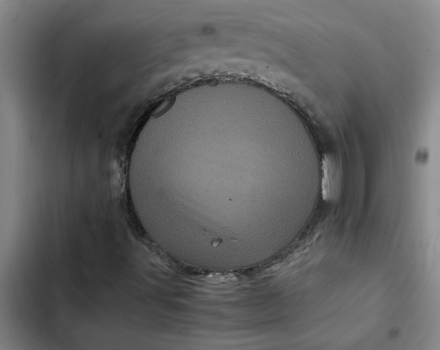 X0000102481491200808221654