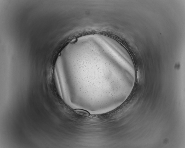 X0000102481492200808221654