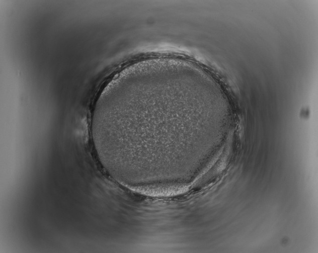 X0000102481493200808221654