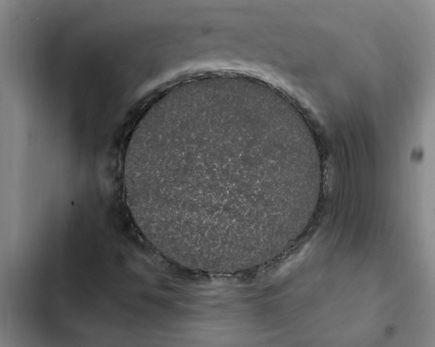 X0000102481494200808221654