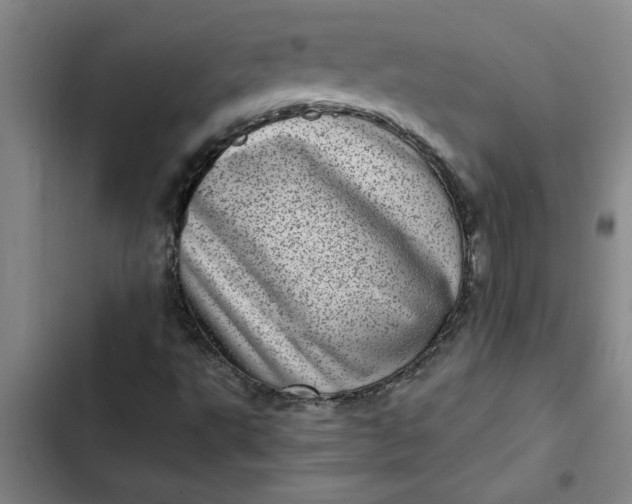 X0000102481495200808221654