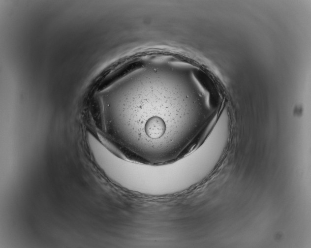 X0000102481496200808221654