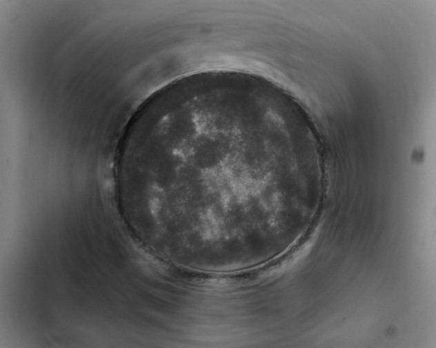 X0000102481497200808221654