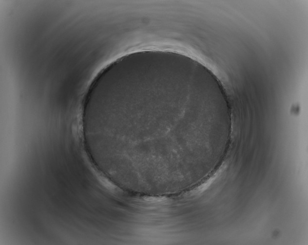 X0000102481498200808221654