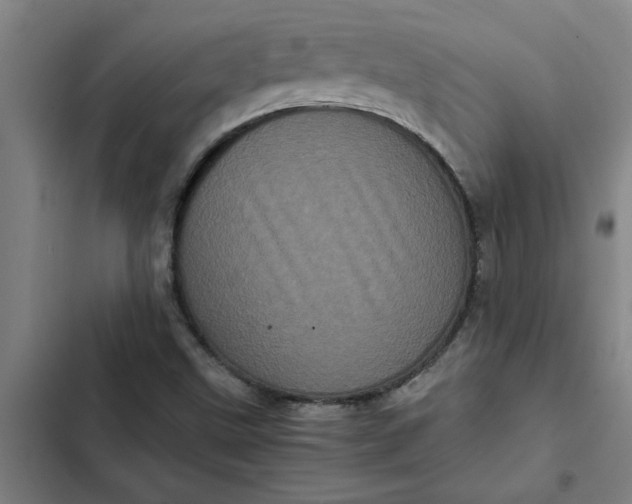 X0000102481499200808221654