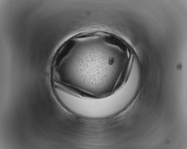 X0000102481500200808221654