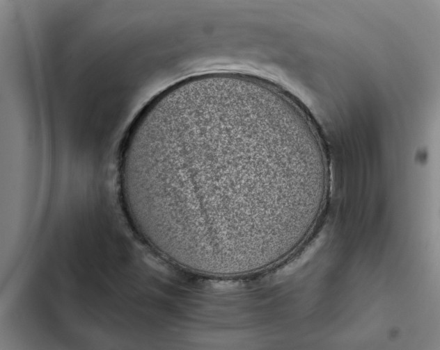 X0000102481501200808221654