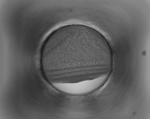 X0000102481502200808221654