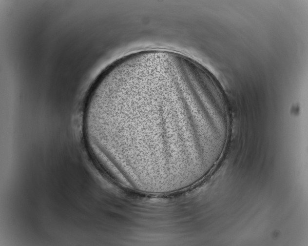 X0000102481503200808221654