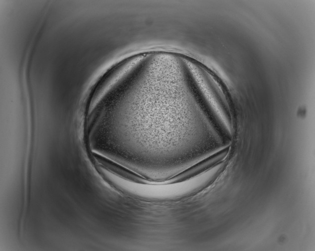 X0000102481504200808221654