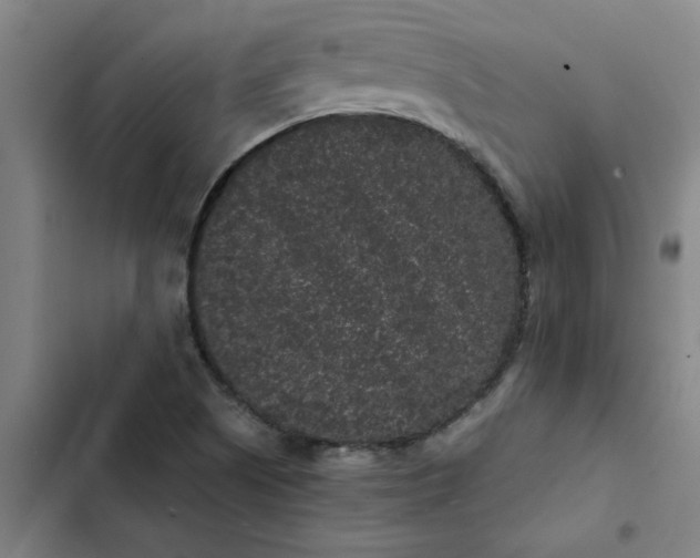 X0000102481505200808221654