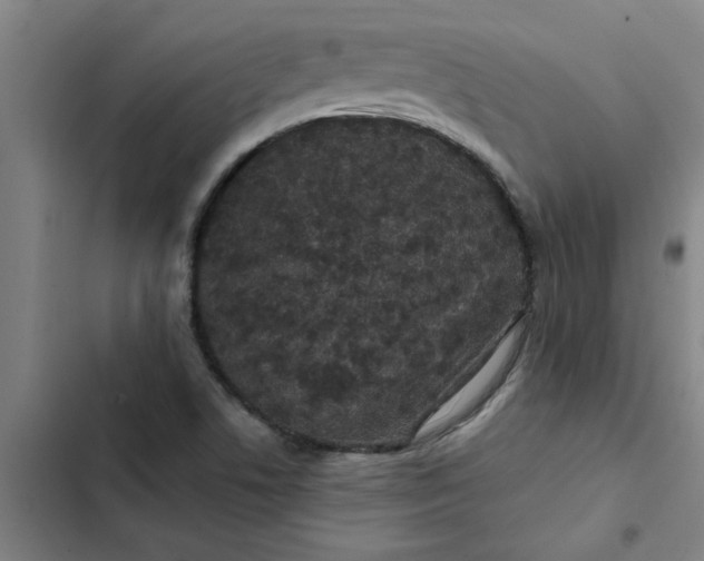 X0000102481506200808221654