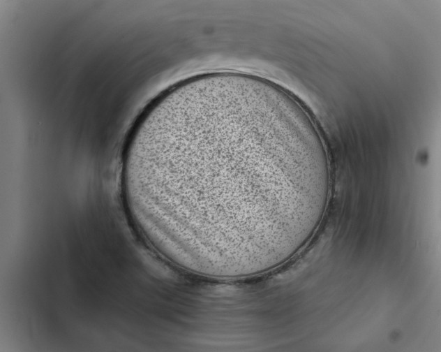 X0000102481507200808221654