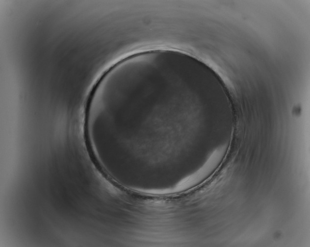 X0000102481508200808221654