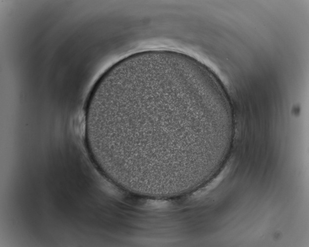 X0000102481509200808221654