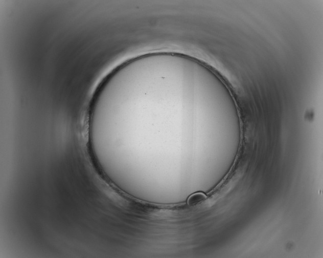 X0000102481510200808221654