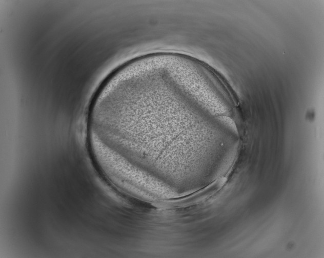 X0000102481511200808221654