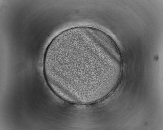 X0000102481512200808221654