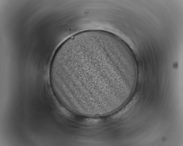 X0000102481513200808221654