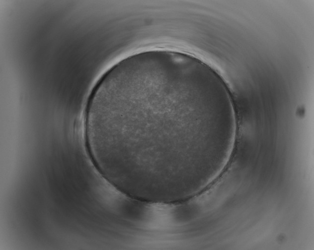 X0000102481514200808221654