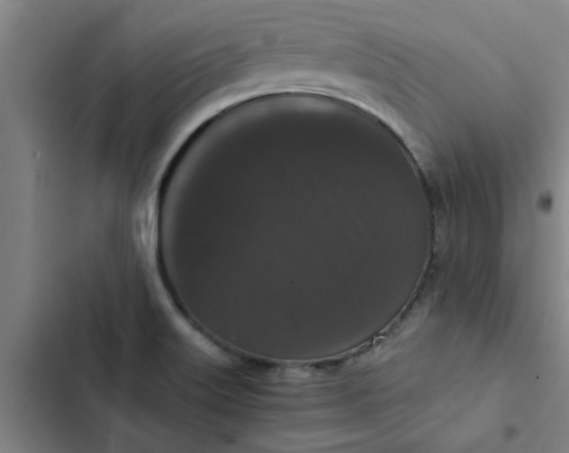 X0000102481515200808221654