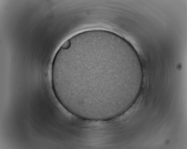 X0000102481516200808221654