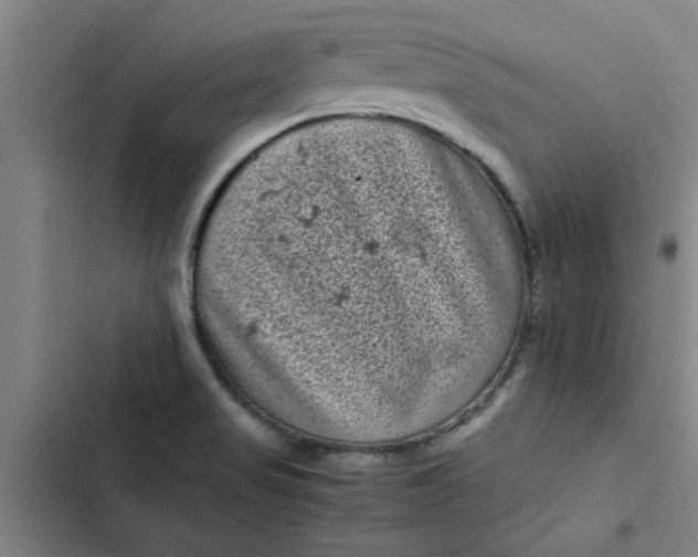 X0000102481517200808221654