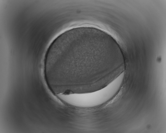 X0000102481518200808221654