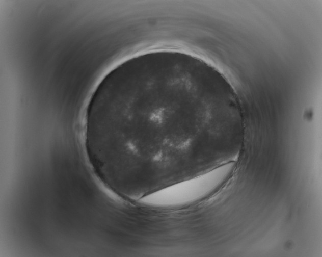 X0000102481519200808221654