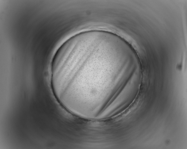 X0000102481520200808221654