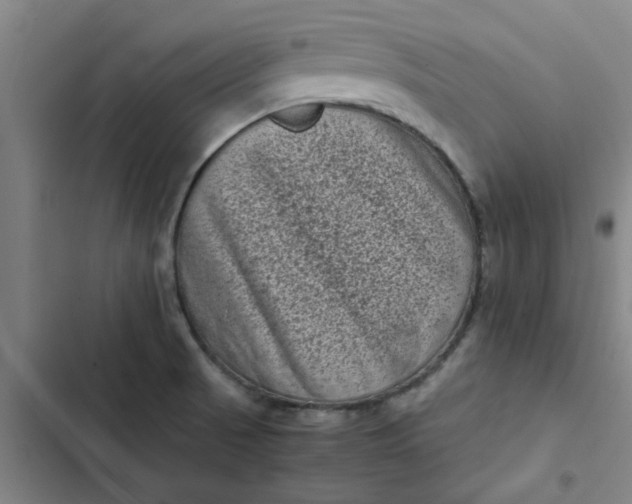 X0000102481521200808221654