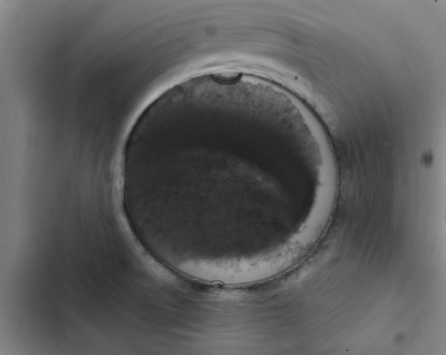 X0000102481522200808221654