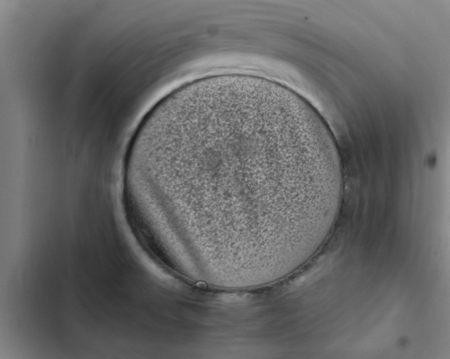 X0000102481523200808221654