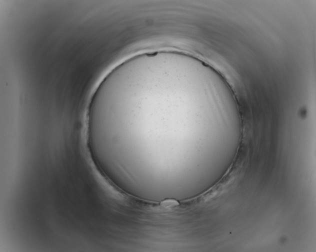 X0000102481524200808221654