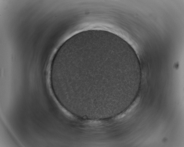 X0000102481525200808221654