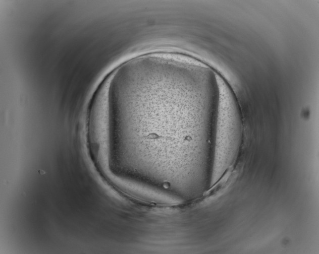 X0000102481526200808221654