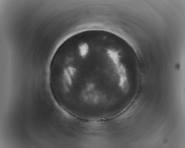 X0000102481527200808221654